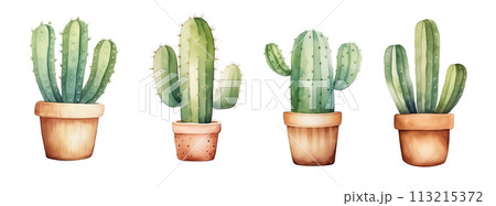 Watercolor illustrations of various potted cacti isolated on white background. Watercolor illustrations of various potted cacti isolated on white background. 113215372