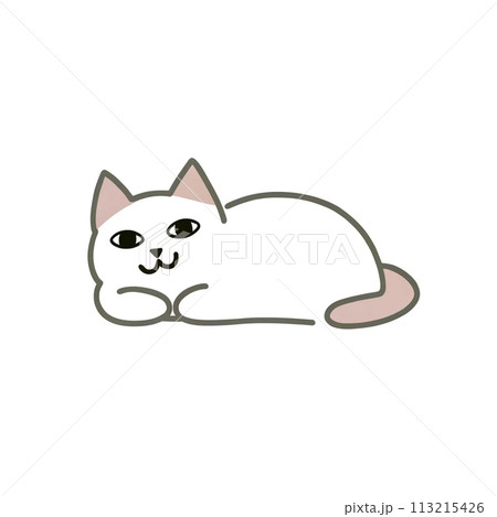 正面を向いて座る灰色の猫 正面を向いて座る灰色の猫 113215426