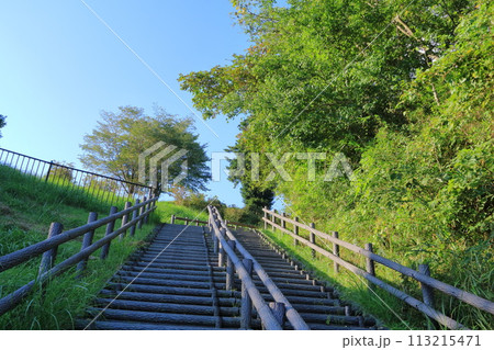 神奈川県・愛甲郡・宮ケ瀬湖・鳥居原園地 113215471