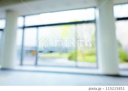 ビジネス街の背景ぼかし ビジネス街の背景ぼかし 113215851