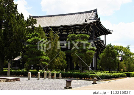緑の中の東福寺三門 113216027