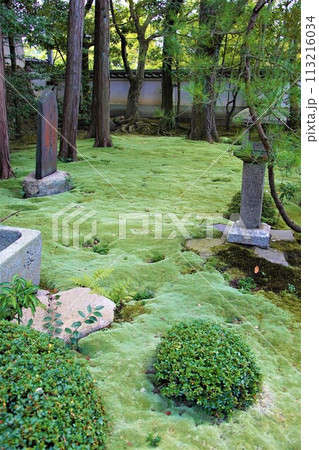 苔生した庭 113216034