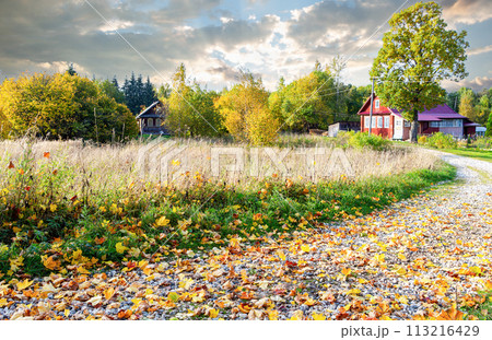 Autumn countryside landscape with small wooden houses 113216429
