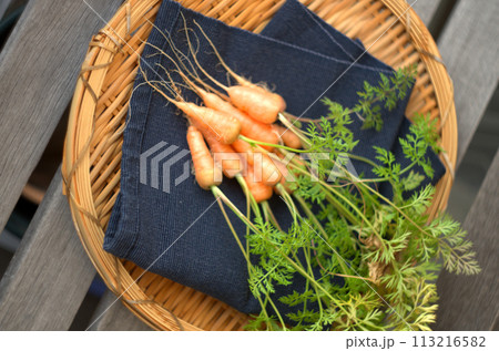 自家製のニンジン 自家製のニンジン 113216582