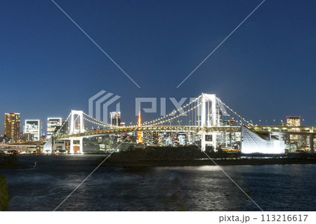お台場海浜公園の夜景 3 お台場海浜公園の夜景 3 113216617