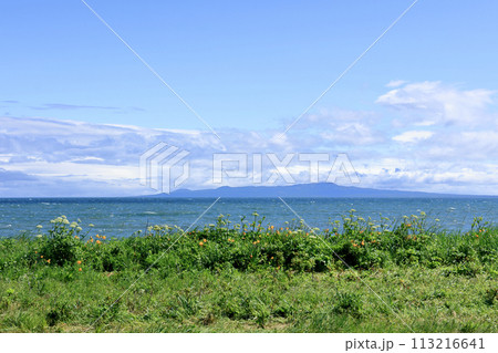 初夏の野付半島から見える国後島 113216641