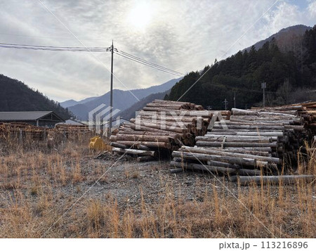 木材業者 木材業者 113216896