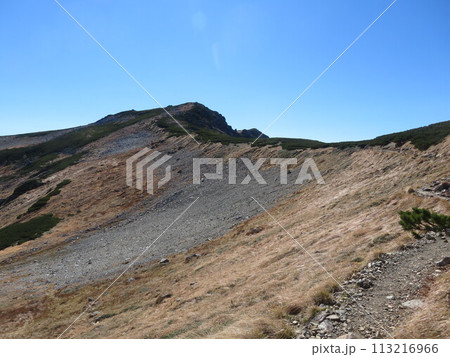 晩秋の北アルプス(双六岳に向かう登山道) 113216966
