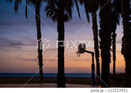 outdoor basketball court with hoop at sunset in palm trees park, tropical California vibes outdoor basketball court with hoop at sunset in palm trees park, tropical California vibes 113217031