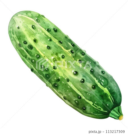 A watercolor painting of a cucumber, richly detailed with shades of green 113217309