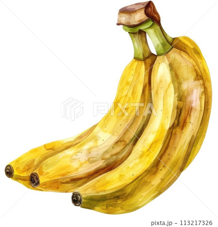 A bunch of ripe bananas comes to life in this watercolor painting 113217326