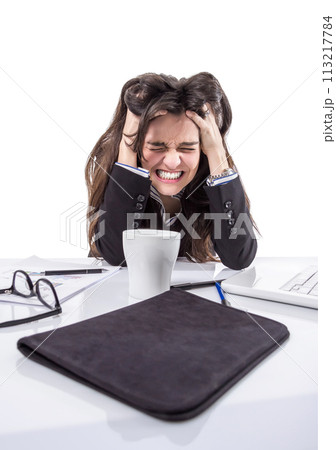 Stressed business woman pulling her hair 113217784