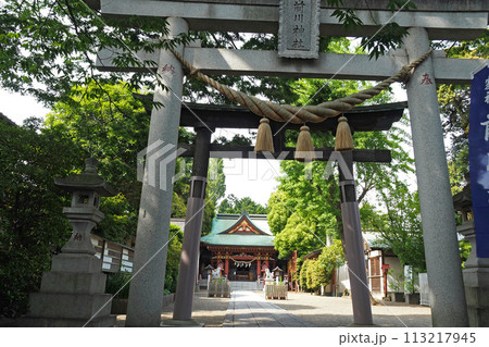 前川神社の鳥居【埼玉県川口市】 前川神社の鳥居【埼玉県川口市】 113217945