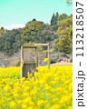 菜の花畑のある風景 113218507