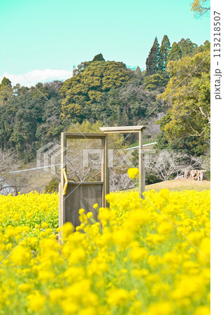 菜の花畑のある風景 菜の花畑のある風景 113218507