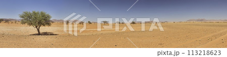 Panoramic picture of the red dunes of the Namib Desert in Namibia against a blue sky in the evening light 113218623