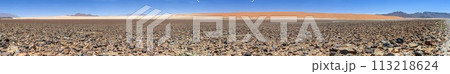 Panoramic picture of the red dunes of the Namib Desert in Namibia against a blue sky in the evening light 113218624