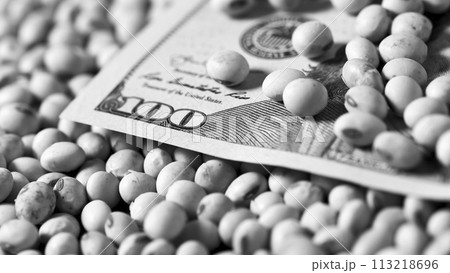 Dollars banknotes and coins and soy beans, commoditi value concept. Dollars banknotes and coins and soy beans, commoditi value concept. 113218696