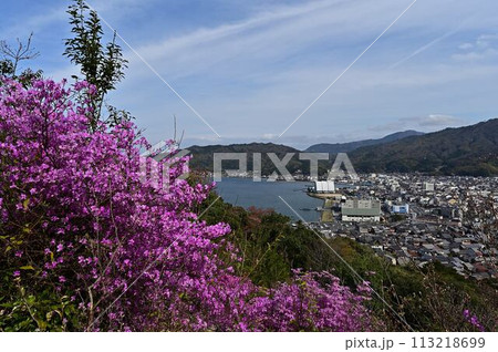ミツバツツジ咲く滝上山 113218699