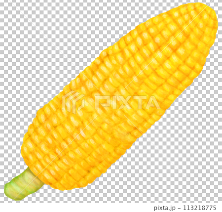 Peeled corn illustration 113218775