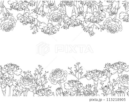 カーネーションとかすみ草の線画フレーム①上下 カーネーションとかすみ草の線画フレーム①上下 113218905