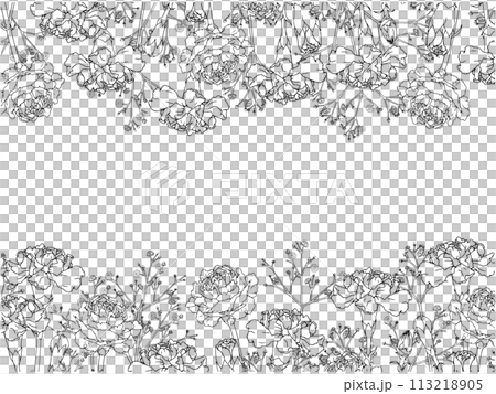 カーネーションとかすみ草の線画フレーム①上下 カーネーションとかすみ草の線画フレーム①上下 113218905