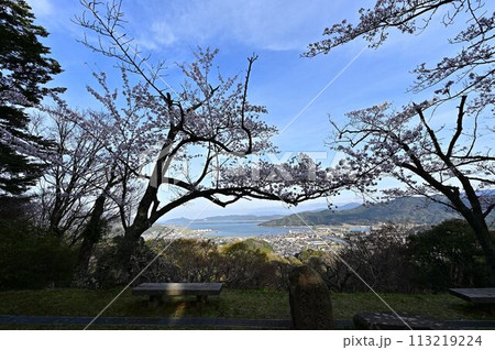 桜咲く春の天橋立 113219224