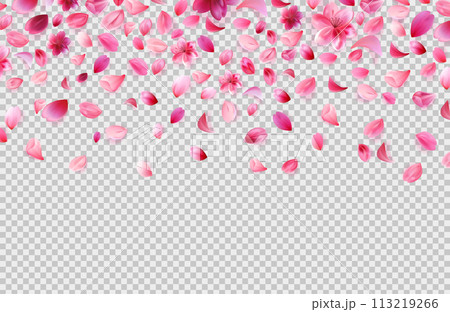 Falling cherry petals png isolated on transparent background. Romantic concept banner template. Stock vector illustration isolated on white background in realistic style. 113219266