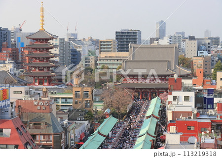 浅草 浅草寺の仲見世通り 観光客で込み合う仲見世 浅草 浅草寺の仲見世通り 観光客で込み合う仲見世 113219318