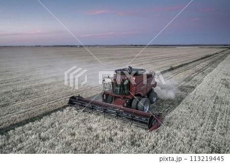 Harvester in Pampas Countryside, aerial view, La Pampa province, Argentina. Harvester in Pampas Countryside, aerial view, La Pampa province, Argentina. 113219445