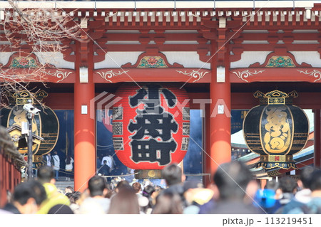浅草寺 宝蔵門の大提灯 浅草寺 宝蔵門の大提灯 113219451