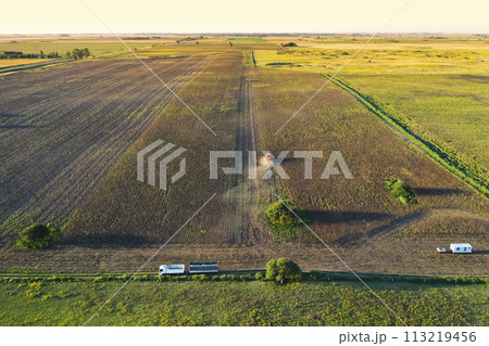 Harvester in Pampas Countryside, aerial view, La Pampa province, Argentina. Harvester in Pampas Countryside, aerial view, La Pampa province, Argentina. 113219456