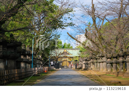東京都台東区 上野東照宮、参道と拝殿 113219618