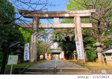 東京都台東区 上野東照宮、大石鳥居 東京都台東区 上野東照宮、大石鳥居 113219624
