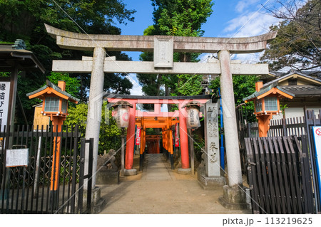 東京都台東区 上野公園、花園稲荷神社 113219625