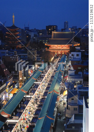 浅草寺本堂に伸びる仲見世通り　浅草寺仲見世の夜景 113219632