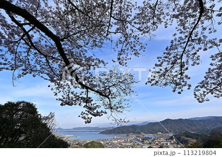 桜咲く春の天橋立 桜咲く春の天橋立 113219804