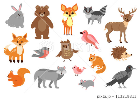 Forest animals set. Cute little woodland wild animals and birds Forest animals set. Cute little woodland wild animals and birds 113219813
