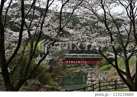 桜咲く川代公園 113219860