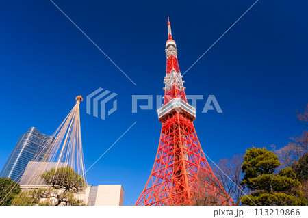 東京都港区 東京タワー 東京都港区 東京タワー 113219866