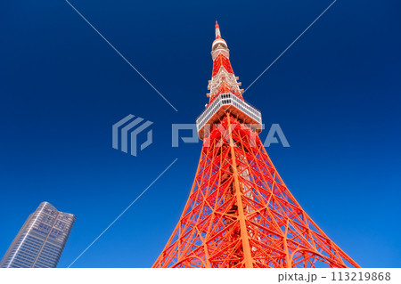 東京都港区 東京タワー 東京都港区 東京タワー 113219868