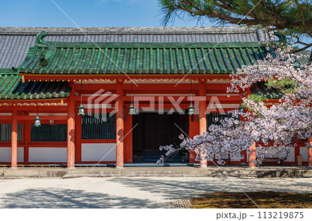 京都 平安神春景色 113219875