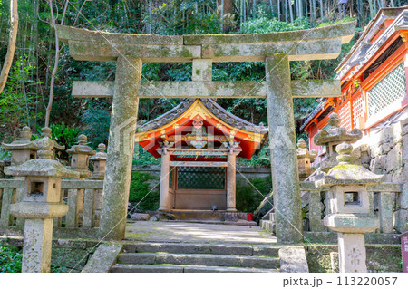 京都府八幡市八幡高坊の石清水八幡宮　石清水井の明神鳥居 113220057