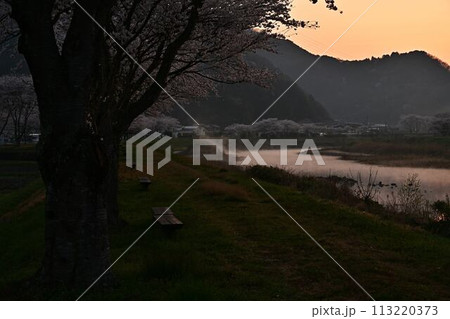 桜咲く春の丹波 113220373
