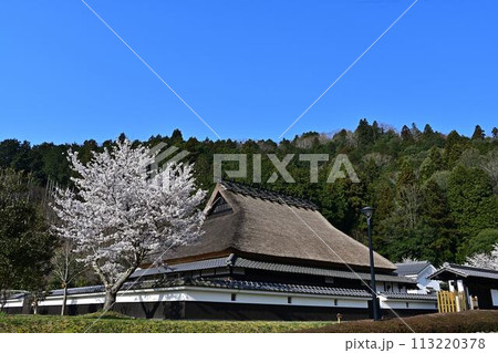 桜咲く春の丹波篠山 桜咲く春の丹波篠山 113220378