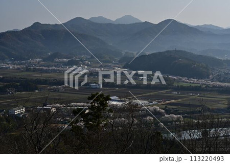 桜咲く春の丹波篠山 113220493