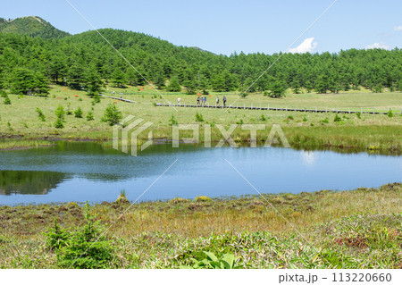 長野県東御市にある池の平湿原の鏡池と木道を歩く人物 113220660