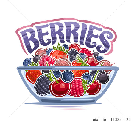 Vector Berry Bowl Vector Berry Bowl 113221120
