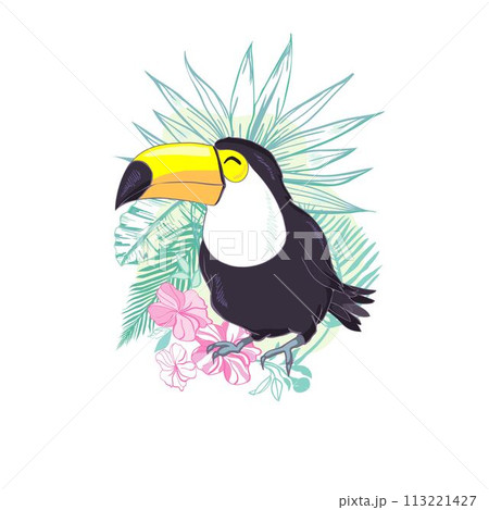 An illustration of a nice toucan in vector format. A cute toucan bird image for kid's education and fun in nursery and schools, and decoration purposes. Jungle animals collection 113221427