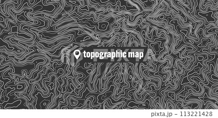 Topographic map with contour lines. Geographic terrain grid, relief height elevation. Ground path pattern. Travel and navigation, cartography design element. Vector illustration 113221428